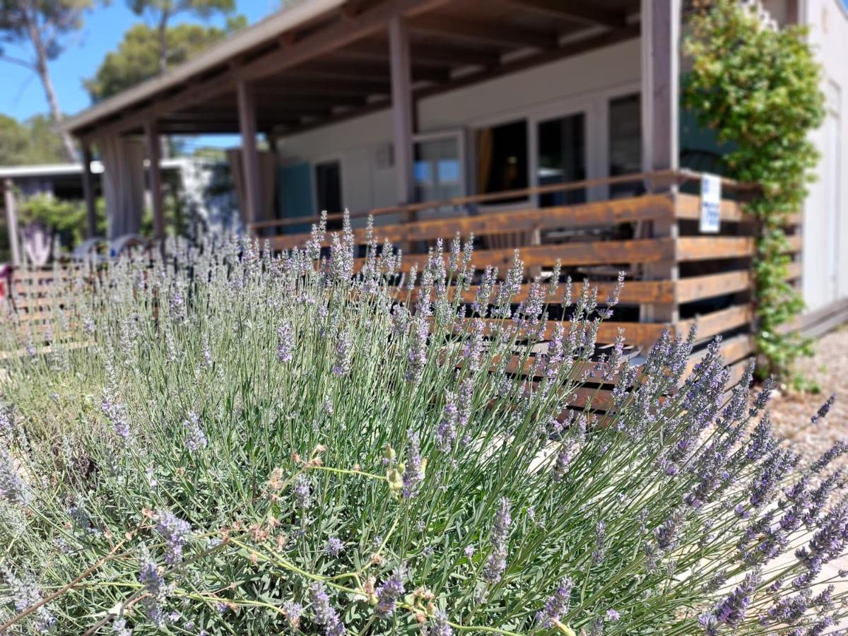 Holiday Homes Lavanda - Biograd Na Moru Buitenkant foto